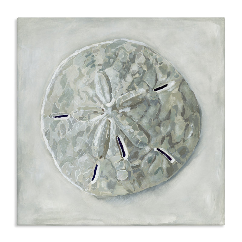 «Sand Dollar Seashell» par Erica Christopher - peinture sur toile tendue, H 24 po x l 24 po x P 1,5 po