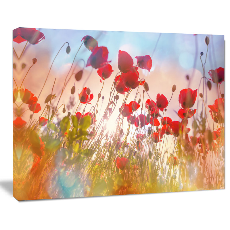" Cute Poppy Flowers in Sunlight " Print, 30" H x 40" W