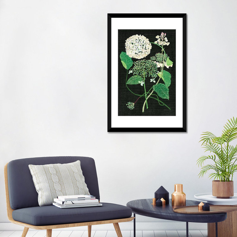 « white hortensia study i », impression sur toile, H 24 po x l 16 po x P 1 po, Papier d'art encadré noir, Blanc