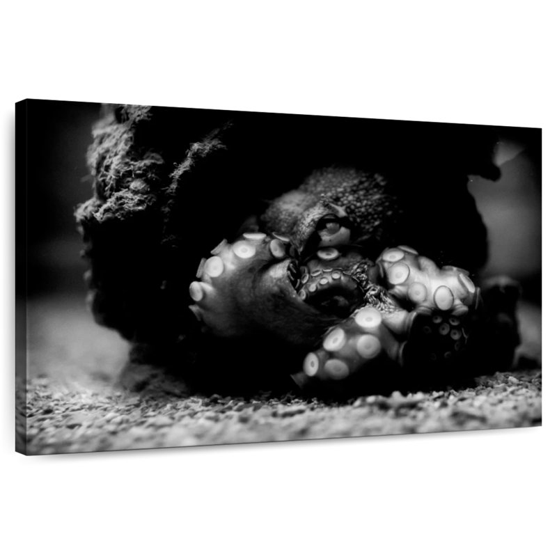 Brampt Tangled Octopus Tentacles, 34" H x 51" W