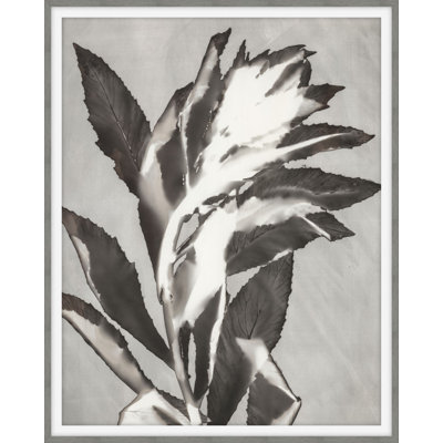After All This Time 5 Print by Darrell Kincer
