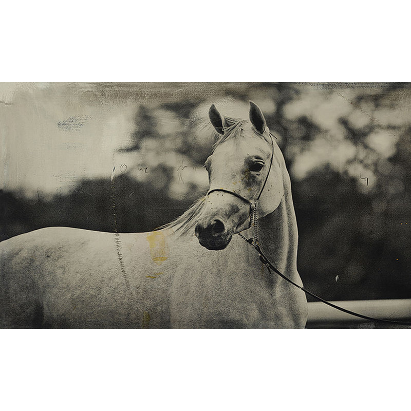 At The Race I Print by Chelsea Art Studio, 16" H x 25" W, Outdoor