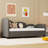 Dark Gray Twin Size Daybed With Velvet Upholstery And Storage Function Modern Upholstered Practical Compartment -