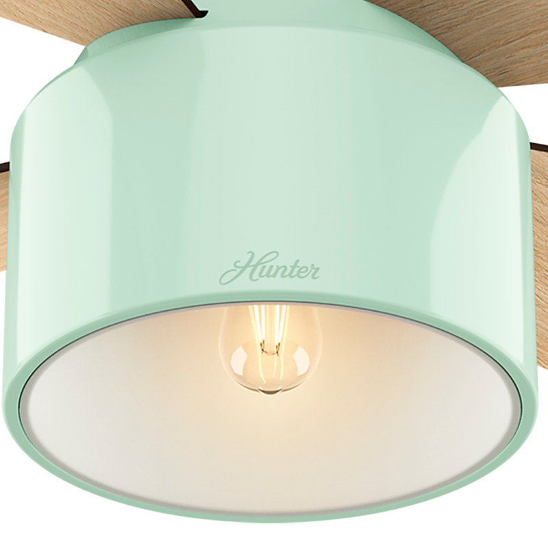 52" Cranbrook 4 - Blade Flush Mount Ceiling Fan with Lights and Remote, Mint