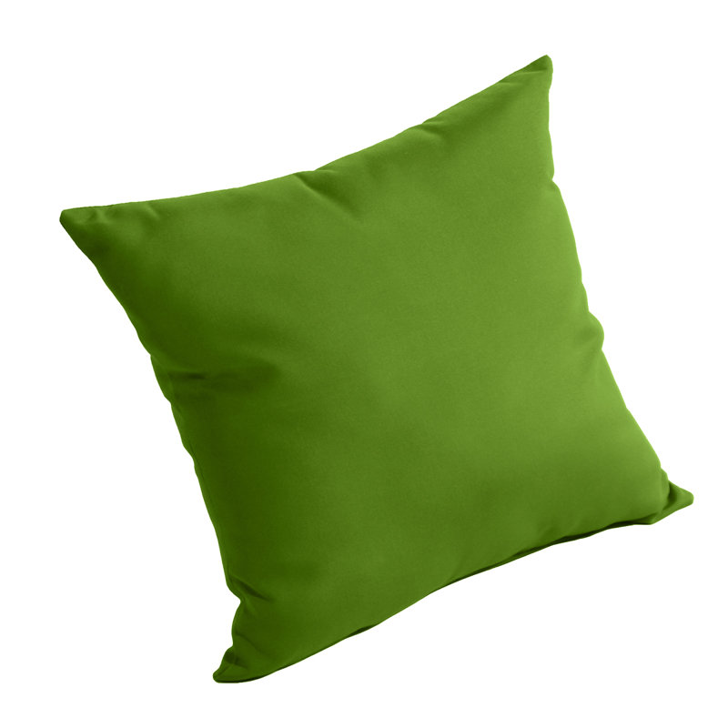  Outdoor Sunbrella Pillow, Macaw