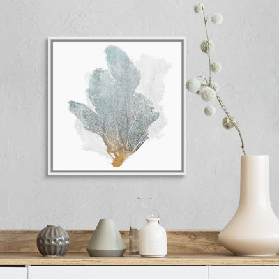 " Delicate Coral II " by Isabelle Z