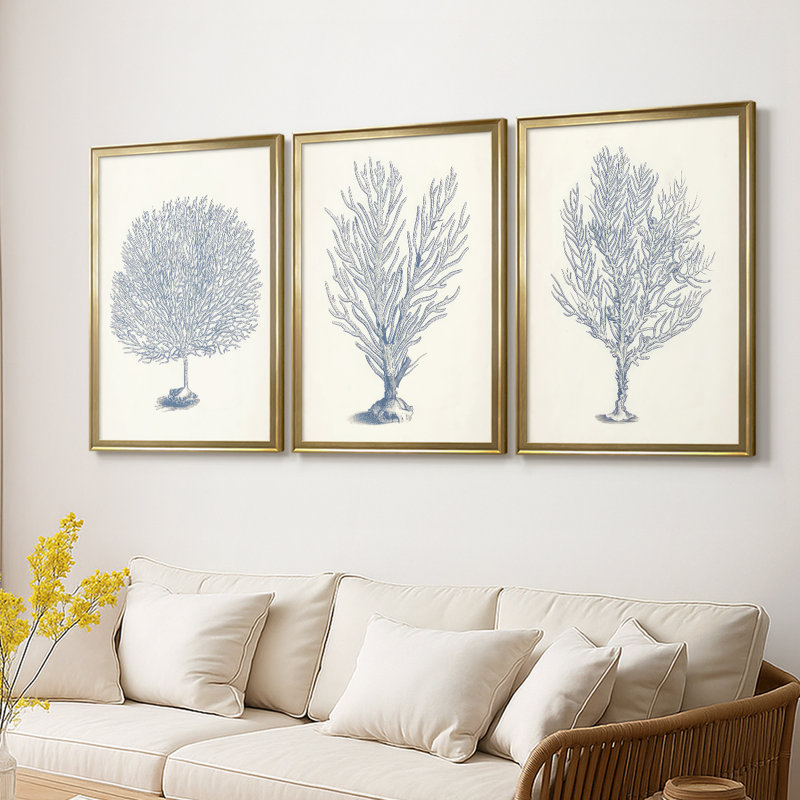 Antique Coral Collection I  -Custom Framed  Wrapped Gallery Canvas - 3 Pieces, 21" H x 30" W, Gold