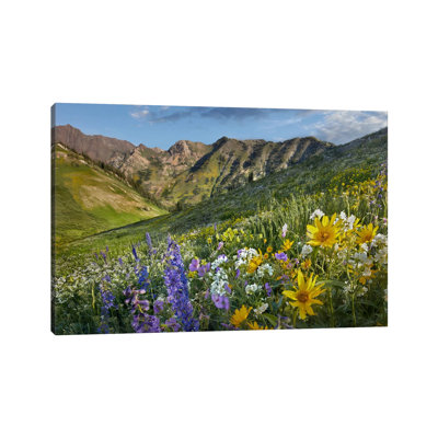 Larkspur And Sunflowers, Albion Basin, Wasatch Range, Utah by Tim Fitzharris - Wrapped Canvas Print