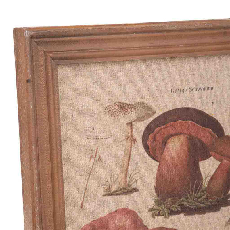 Single Picture Frame Print