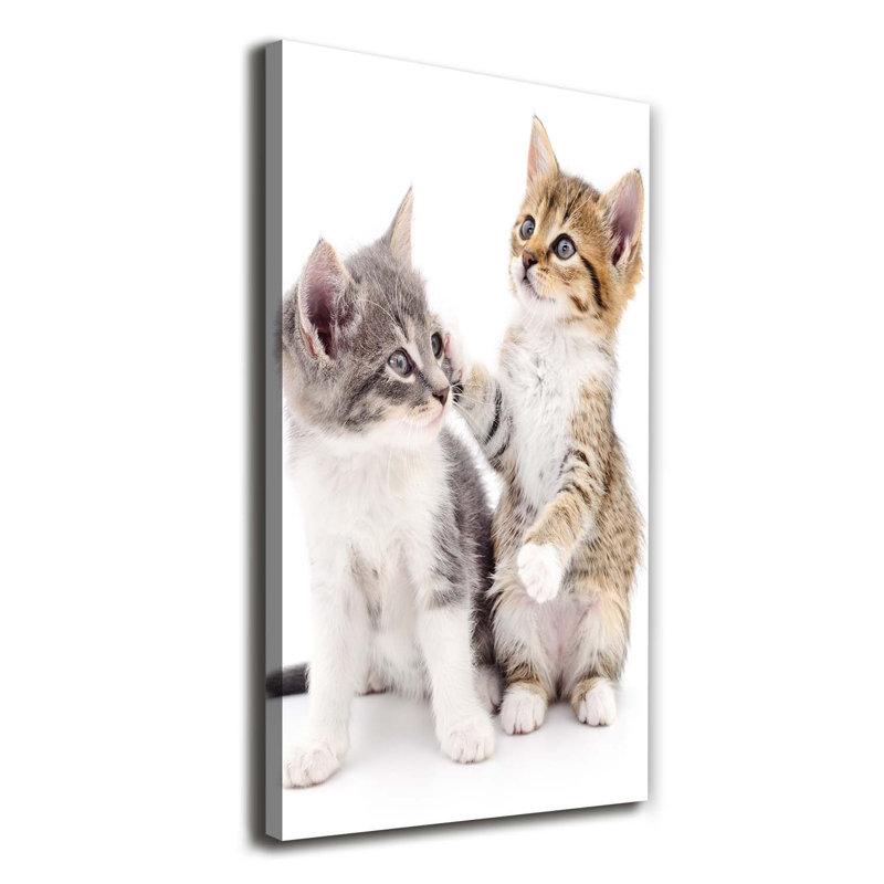Two Small Cats - Wrapped Canvas Print