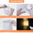 Boynedale Flush Mounted Sconce