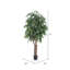 Arbre 72 po Smilax-101485053