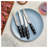 HENCKELS Nola 4 Piece, Steak Set