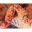 Tapis à motif géométrique orange Shirey-605160976