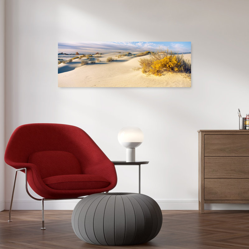 «Desert Plants In A Desert», White Sands National Monument, Nouveau-Mexique, États-Unis, H 12 po x l 36 po