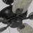 Jacobi 52'' Ceiling Fan with LED Lights-1788204793