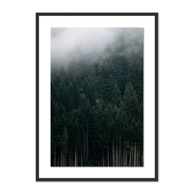 Rolling In 1 Print by Michael Schauer, Black, 40" H x 29" W x 2.5" D