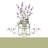 Devia Swag 58'' W Kitchen Curtain in-144431032