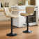Swivel Adjustable Height Modern Bar& Counter Stool