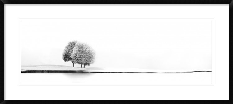 " United #2 " by Marc Huybrighs Global Gallery