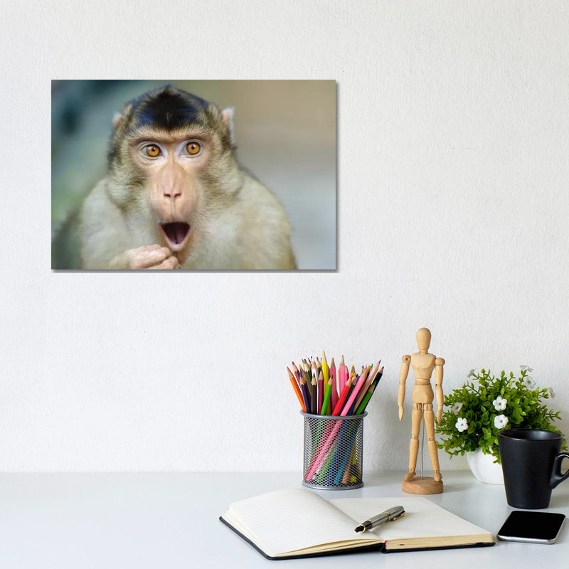 Monkey III by Goran Anastasovski - Wrapped Canvas Print, 20.32 cm H x 30.48 cm W
