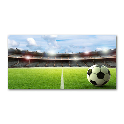 Ball On Turf - Wrapped Canvas Print