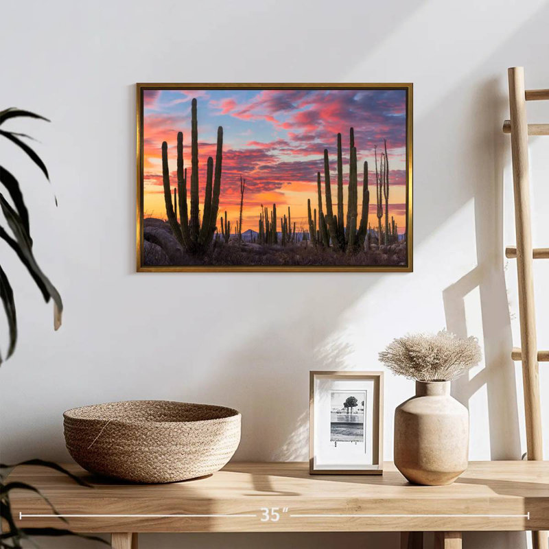 Lever de soleil de Baja California, Cadre flottant doré, 19 po x 13 po