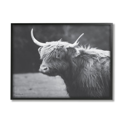 " Country Cattle Highland Farm Animal "