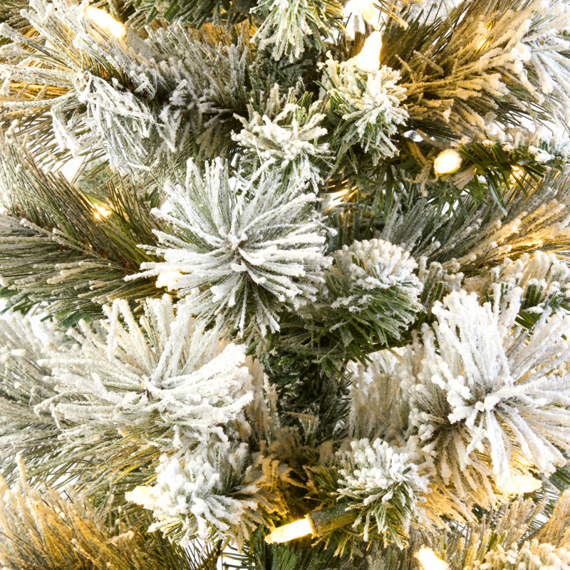 4.5Ft. Snowy Methow Pencil Entrance Tree With LED Lights