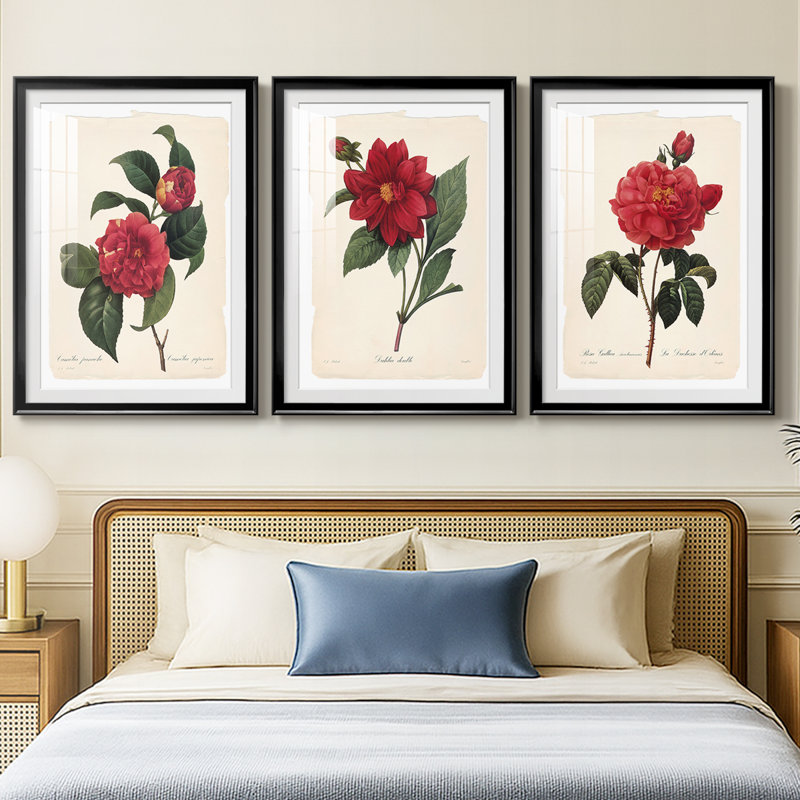 Red Botanical I - reproduction encadrée sur mesure de qualité supérieure mate - 3 pièces, H 19 po x l 27 po