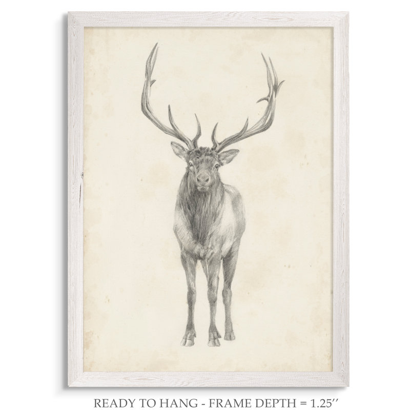« elk study » par paul cezanne-photo-cadre, reproduction d’art, H 30 po x l 22 po x P 1,25 po, Cadre de toile blanc