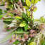 Couronne en soie Magic Meadows-57298137