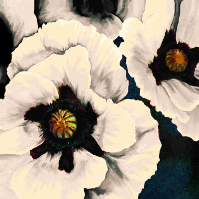 Coquelicots blancs géants
