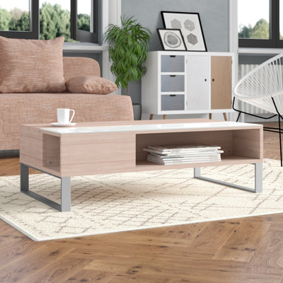 Ayala Lift Top Frame Coffee Table with Storage