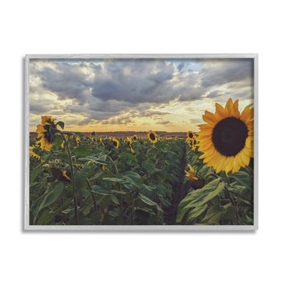 «Sunny Sunflower Patch Field» par Kali Wilson - photographie