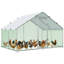 Denne Walk In Chicken Run-1107723293