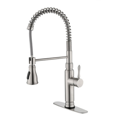 Robinet de cuisine à poignée simple Topcraft