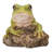 Tree Frog
