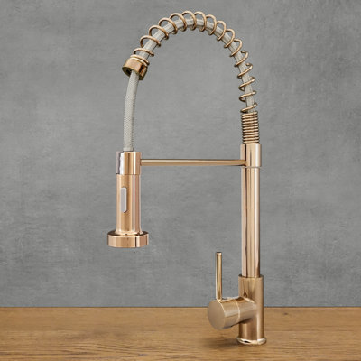 Belfry Kitchen Kitchen Faucet