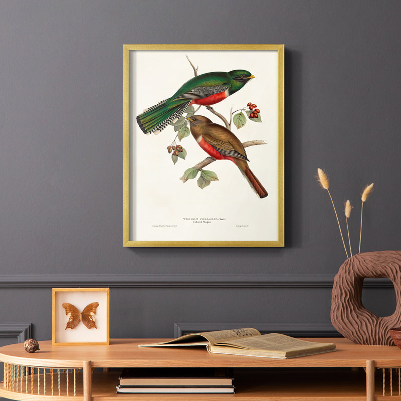 Impression encadrée Elegant Trogons VI - bois massif, H 20 po x l 16 po