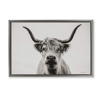 Calm Cattle Portrait Canvas by Dakota Diener