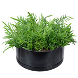 Lemington 7.5" Round Black Ceramic Succulent Planter