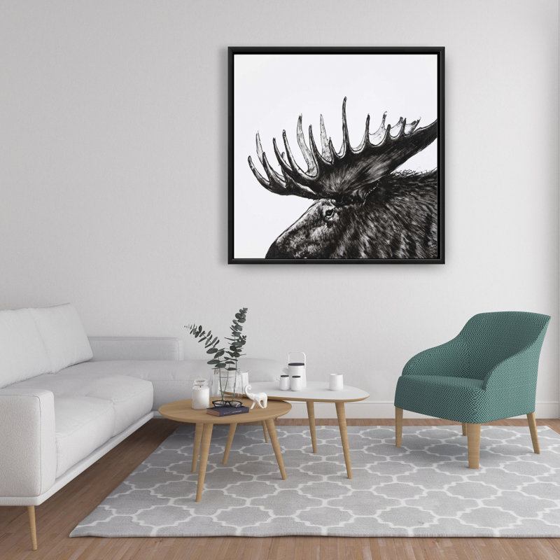 " Moose Plume "