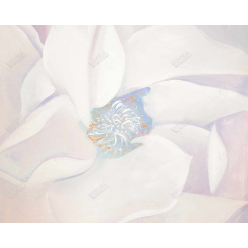 Delicacy Print On Canvas
