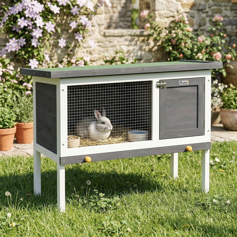 Rabbit, Guinea Pig, Chinchilla Hutch