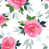 White/Pink