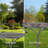 Eugeniya Pedestal Birdbath