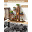 Support pour plante d'intérieur en bois à 6 niveaux pour plantes d'intérieur