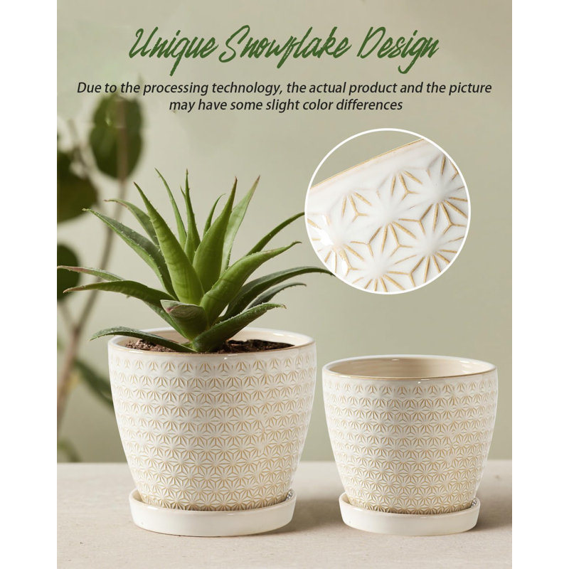 Set Of 2 Ceramic Plant Pots