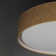 Poppy LED Flush Mount